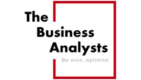 The business analysts